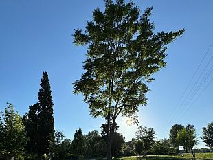 giornata-mondiale-dellacqua-2025-anconella-aperta-alle-famiglie