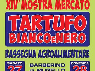 tartufo-bianco-al-via-la-mostra-mercato-delle-crete-senesi