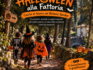 autunno-nel-piatto-eventi-enogastronomici-da-non-perdere