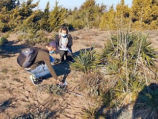 pianta-aliena-minaccia-lecosistema-del-mediterraneo