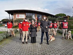 portano-a-spasso-i-cani-dei-padroni-in-quarantena-firenze-li-ringrazia