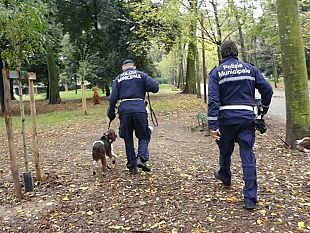 droga-alle-cascine-marijuana-tra-le-foglie-arrivano-anche-ombra-e-babacar