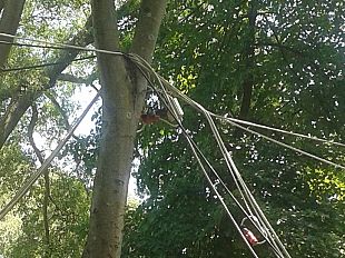 nubifragio-sottopassi-allagati-rami-caduti-e-alberi-danneggiati