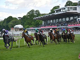 corsa-dellarno-edizione-199-purosangue-e-cappelli-dautore