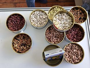 slow-beans-e-il-successo-del-progetto-toscano-a-terra-madre-salone-del-gusto