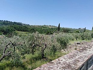 presidio-agricolo-a-firenze