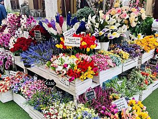 fiera-del-fiore-di-foiano-della-chiana-una-marea-di-gente