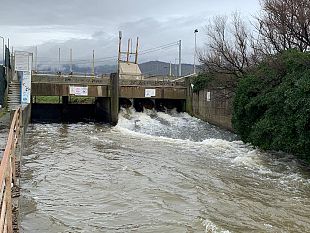 prosegue-anche-domani-lallerta-gialla-per-la-pioggia-a-firenze