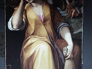 jacopo-ligozzi-pittore-fra-divino-e-naturale