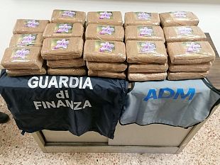 livorno-sequestrati-485-kg-di-cocaina-pura-suddivisa-in-panetti