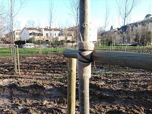 galluzzo-la-nuova-pioppeta-inizia-a-prendere-forma