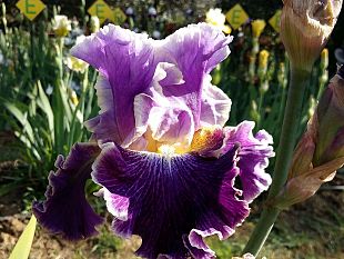 giardino-delliris-apre-il-25-aprile