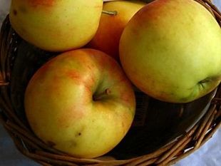 cappuccetto-shock-invalido-civile-con-la-droga-tra-le-mele