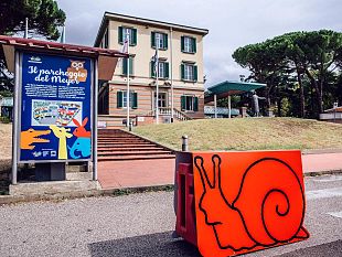 bilanci-delle-aziende-sanitarie-concluso-liter-di-approvazione-per-lanno-2014