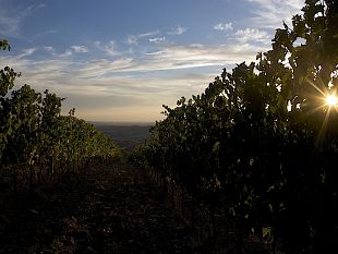 la-seconda-edizione-de-laltra-toscana