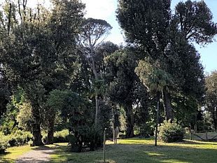 gestione-del-clima-firenze-premiata-con-loro