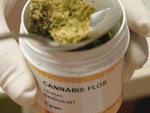 cannabis-terapeutica-rossi-ampliare-luso-ad-altre-patologie