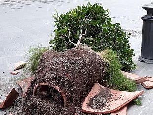 fioriere-distrutte-in-via-tornabuoni