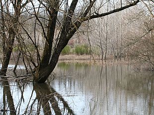 ordinata-la-rimozione-delle-barche-abbandonate