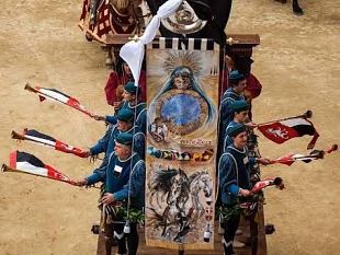 nellanima