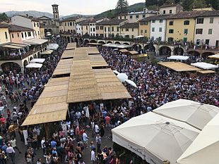 centrale-termoelettrica-nel-chianti-greve-dice-no