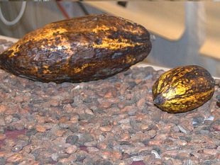 san-valentino-il-brindisi-per-gli-innamorati-e-sulla-torre-di-arnolfo