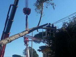 anche-domani-firenze-a-rischio-per-il-vento-forte