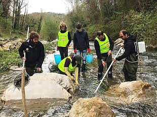 servizio-civile-universale-online-il-bando-del-comune-di-firenze