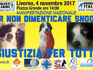 giustizia-per-snoopy-mobilitazione-animalisti-a-livorno