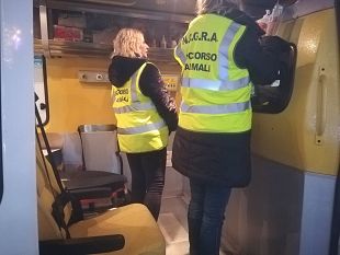 capodanno-ordinanza-a-firenze-in-centro-vietati-botti-e-vetro-518