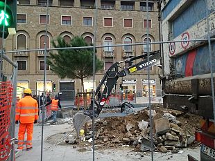 salvate-il-pino-nel-cantiere-tramvia-appello-di-miriam-amato