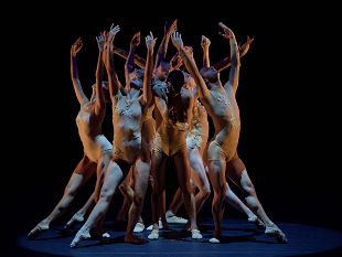 mercoledi-14-novembre-al-teatro-puccini-debutta-shame-danze-contro-la-violenza