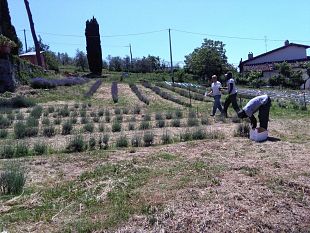 agricoltura-sociale-dalla-regione-11-mila-per-un-progetto-rivolto-a-profughi-e-disabili