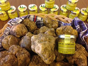 novembre-in-toscana-riflettori-puntati-sullolio-e-sul-tartufo