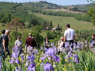 ponte-del-2-giugno-agriturismi-soddisfatti-per-la-ripartenza