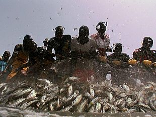 b202201715-the-end-of-the-line-al-capolinea-di-rupert-murray