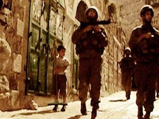 b108011940-documentari-green-al-clorofilla-film-festival-da-venerdi-5-agosto