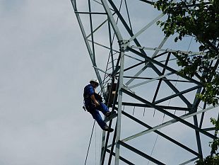 cambiamento-climatico-le-oasi-wwf-dimostrano-il-valore-della-natura