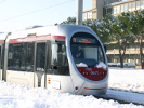 b012201337-stamani-stop-della-tramvia-marciapiedi-innevati-e-poca-informazione