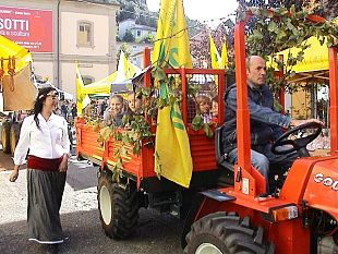 no-ai-cibi-creati-in-laboratorio