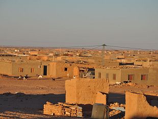 cittadinanza-onoraria-ai-bambini-saharawi