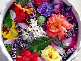 acqua-di-san-giovanni-e-la-notte