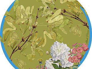 horticulture-latelier-alberta-florence-porta-la-natura-in-tavola