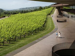 toscana-wine-architecture-giornate-speciali-il-15-e-16-ottobre