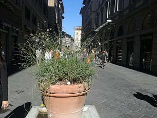 coronavirus-confesercenti-toscana-interventi-immediati-sulla-liquidita