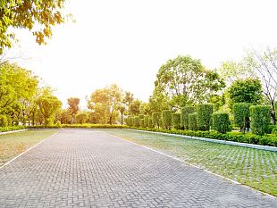 verso-la-depavimentazione-dei-parcheggi-asfaltati