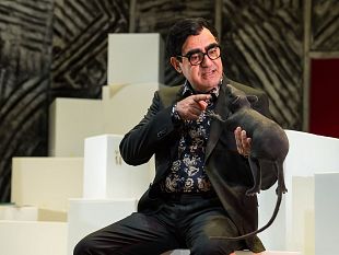 il-grigio-a-santa-croce-ce-elio-in-prima-toscana