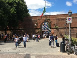 fortezza-marijuana-ed-hashish-nascosti-nei-cespugli