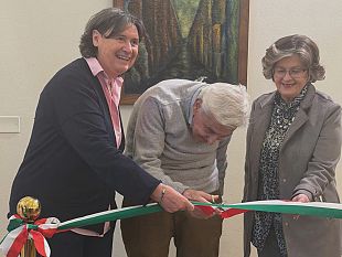 larte-di-fabio-mattii-in-consiglio-regionale