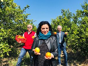 arance-boom-di-vendite-nel-2020